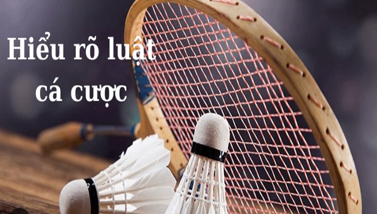 Cách Chơi Cá Cược Cầu Lông Tại PK14: Hướng Dẫn Chi Tiết 2 Cách Chơi Cá Cược Cầu Lông Tại PK14: Hướng Dẫn Chi Tiết